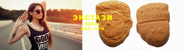 шишки Няндома